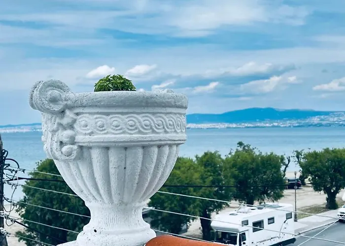 Denith Rooftop